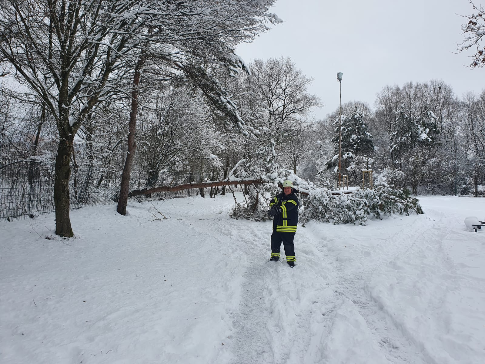 Mehr über den Artikel erfahren H 1 – Baum auf Weg gestürzt