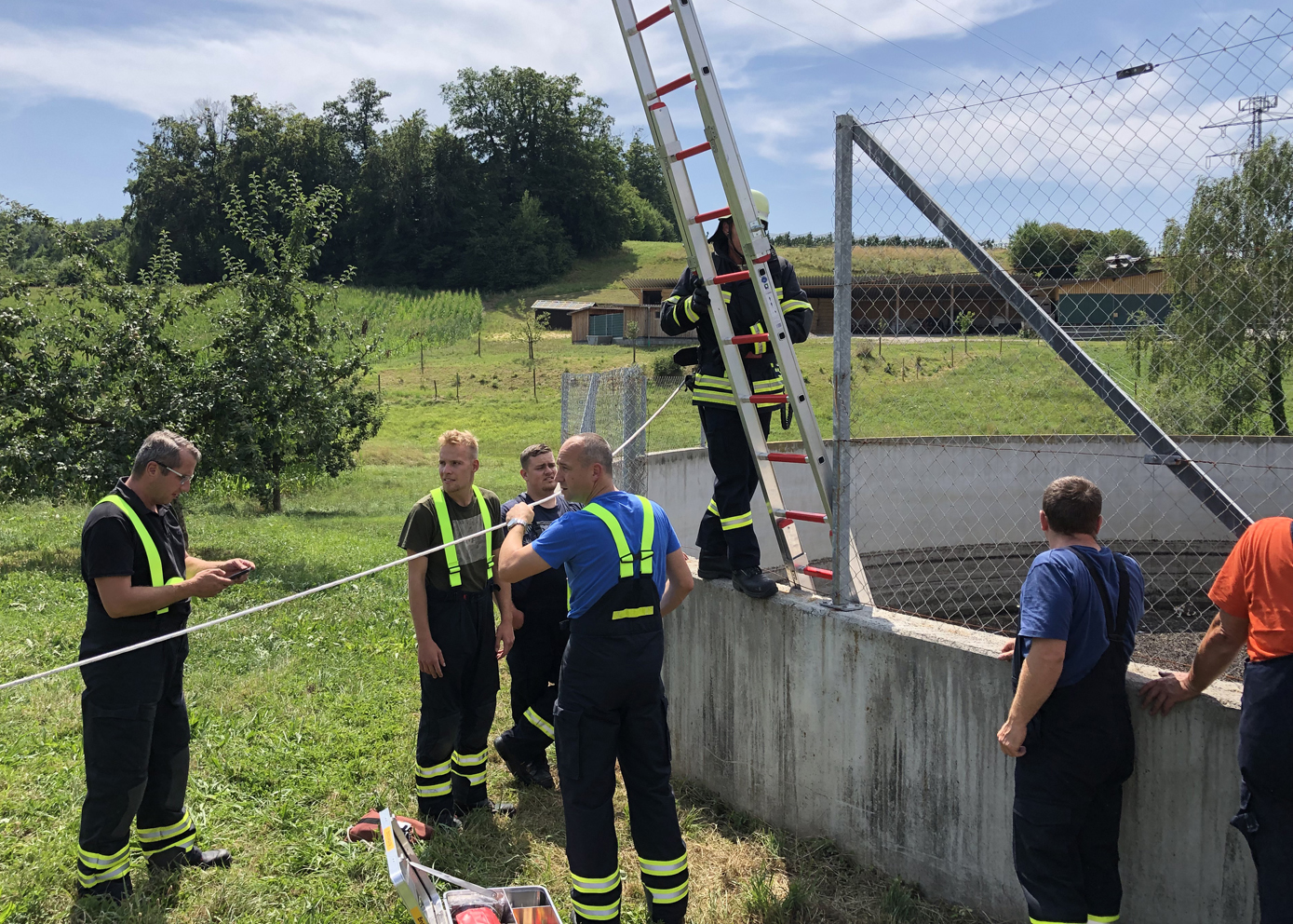 Mehr über den Artikel erfahren H TIERNOT 1 – Katze in Güllegrube