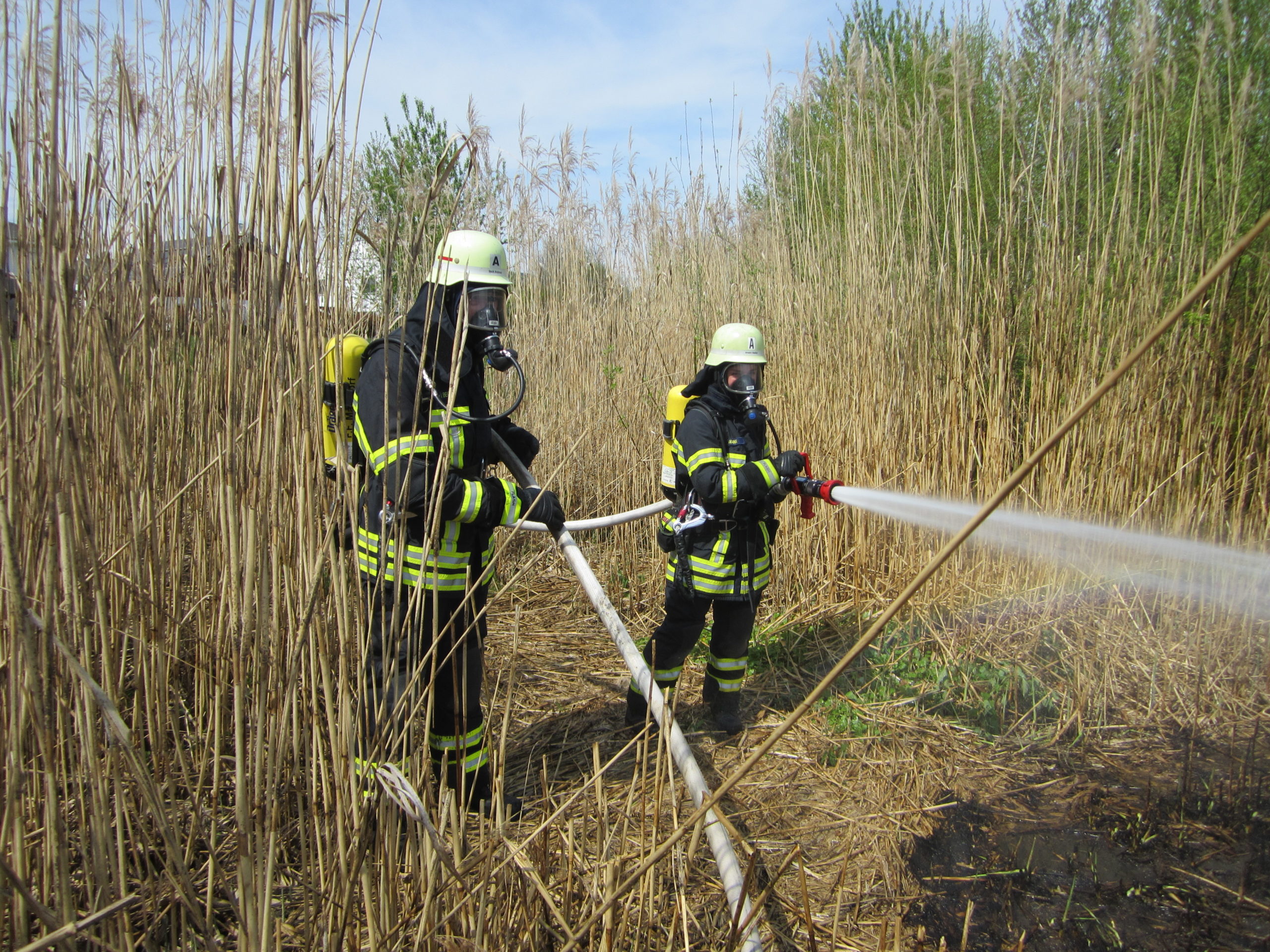 Mehr über den Artikel erfahren F 1 – Schilf brennt
