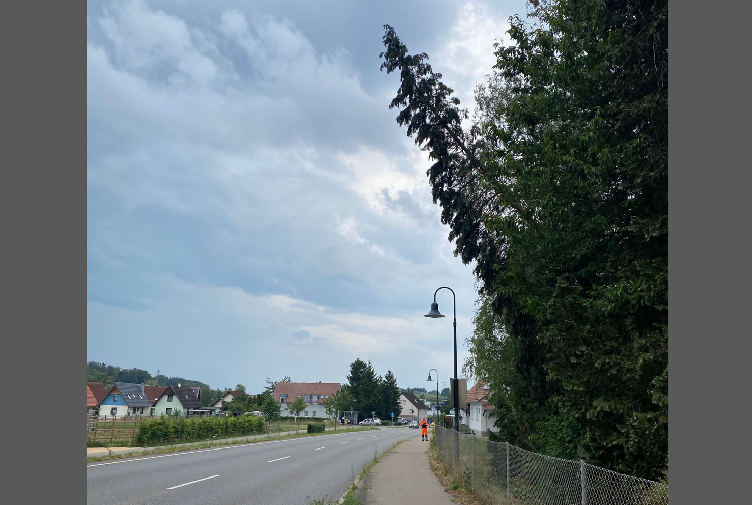 Mehr über den Artikel erfahren H 1 – Baum droht auf Bundesstraße zu stürzen