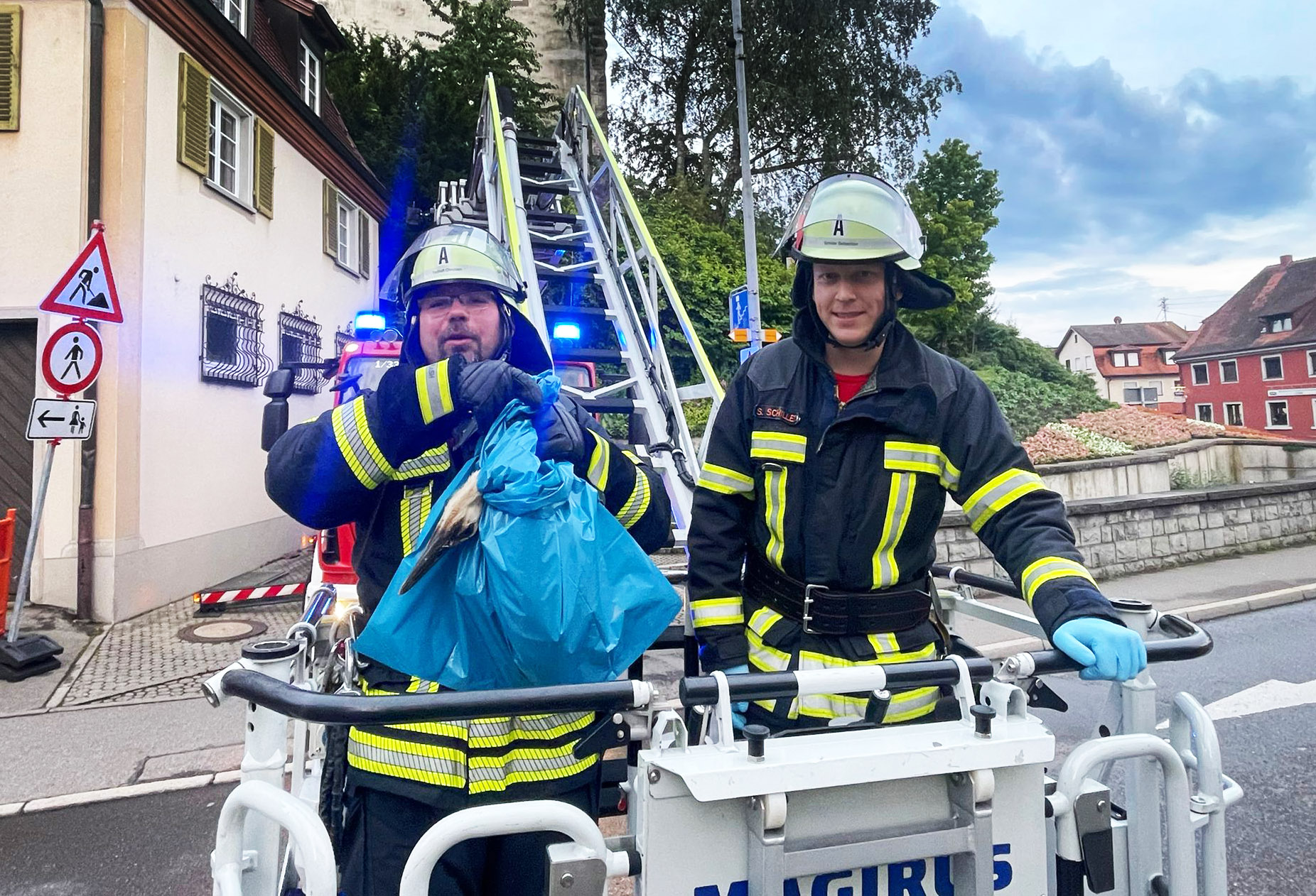 Mehr über den Artikel erfahren KOMMANDANT – Rettung eines Jungstorchs