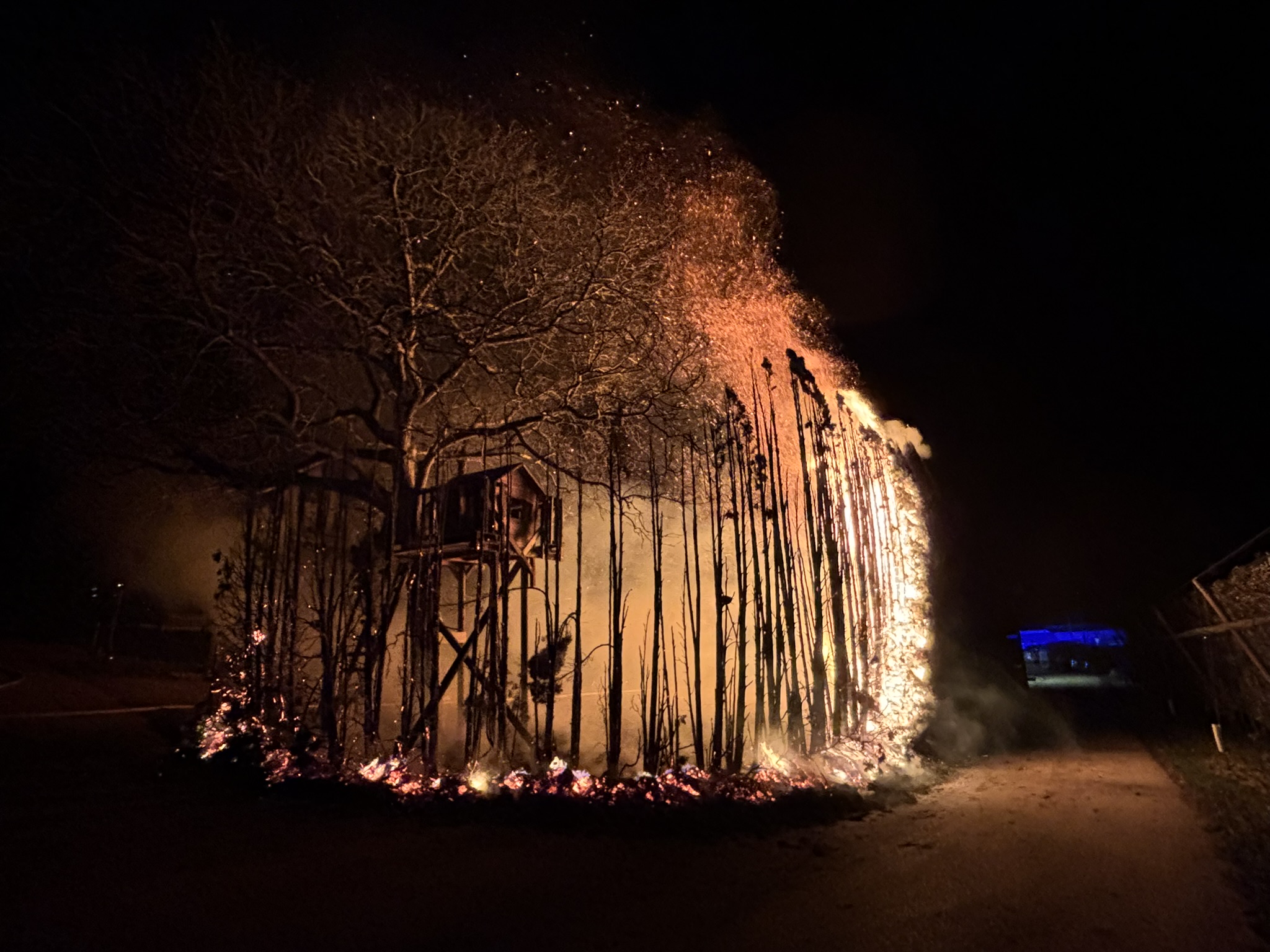 Mehr über den Artikel erfahren F 2 – Heckenbrand