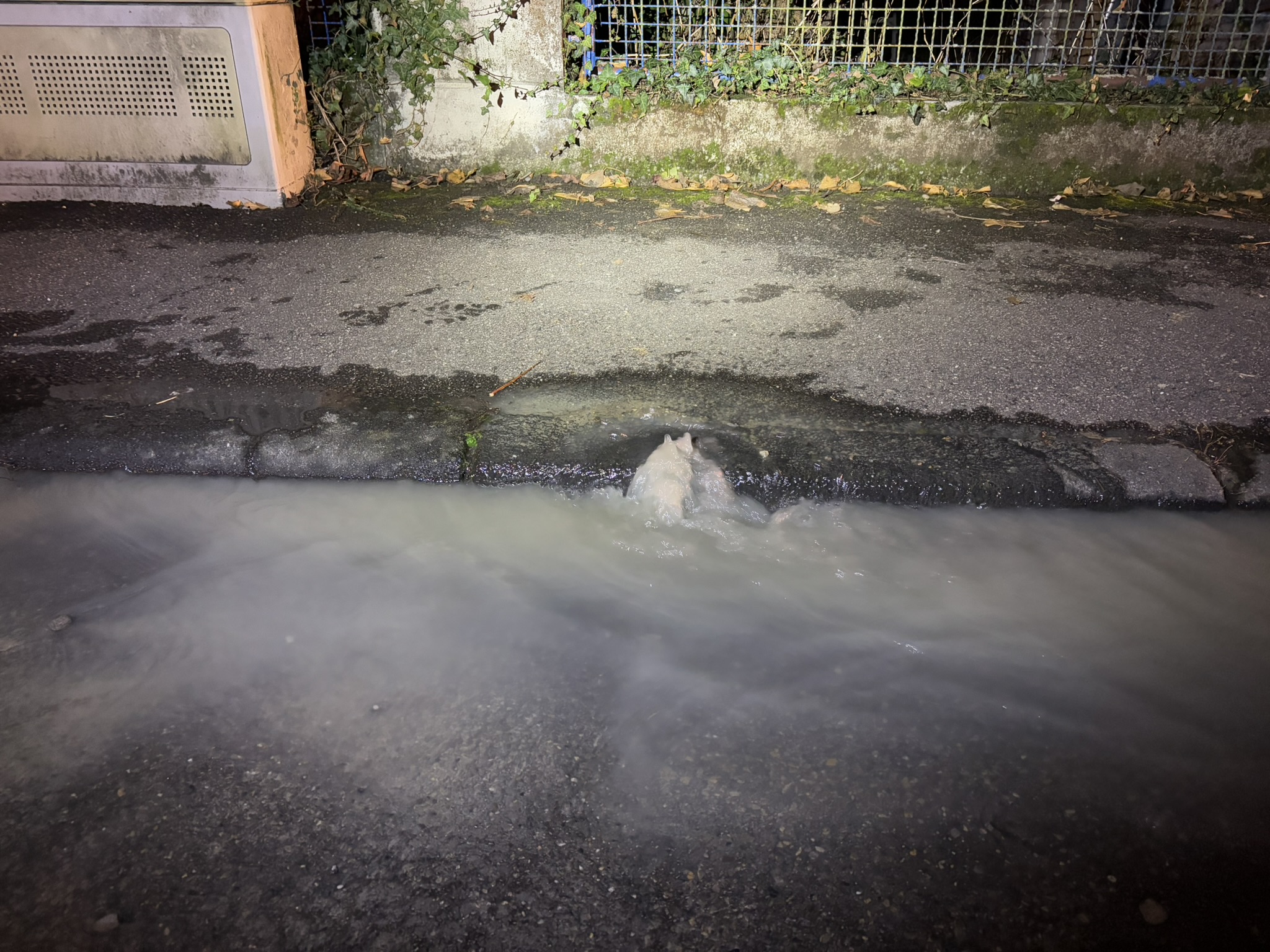 Mehr über den Artikel erfahren H 1 – Wasserrohrbruch an Hauptleitung