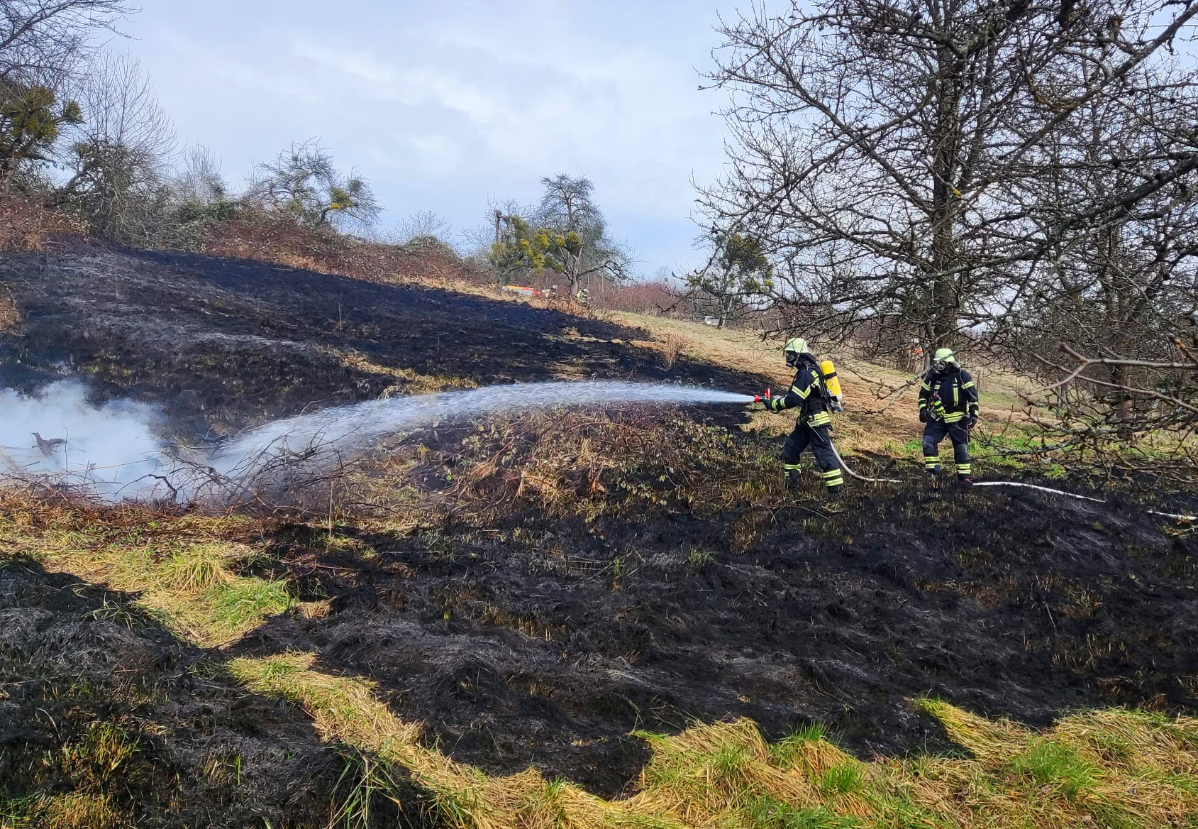 Mehr über den Artikel erfahren F WALD 1 – Flächenbrand auf Wiese