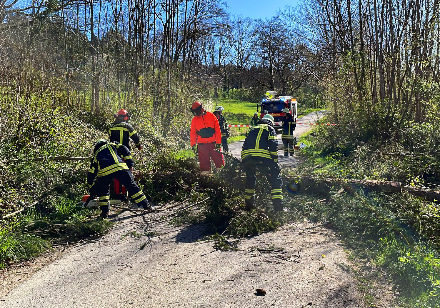 Mehr über den Artikel erfahren H 1 – Baum über Strasse