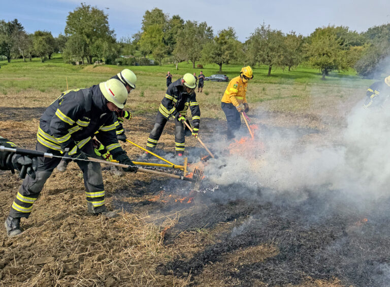 Mehr über den Artikel erfahren Ausbildung Vegetationsbrandbekämpfung