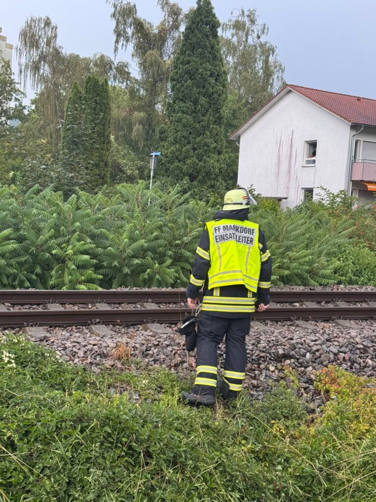 H1 – Baum liegt auf Gleisen